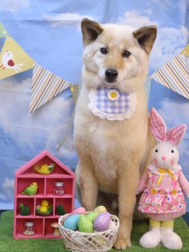 20240301れんくん